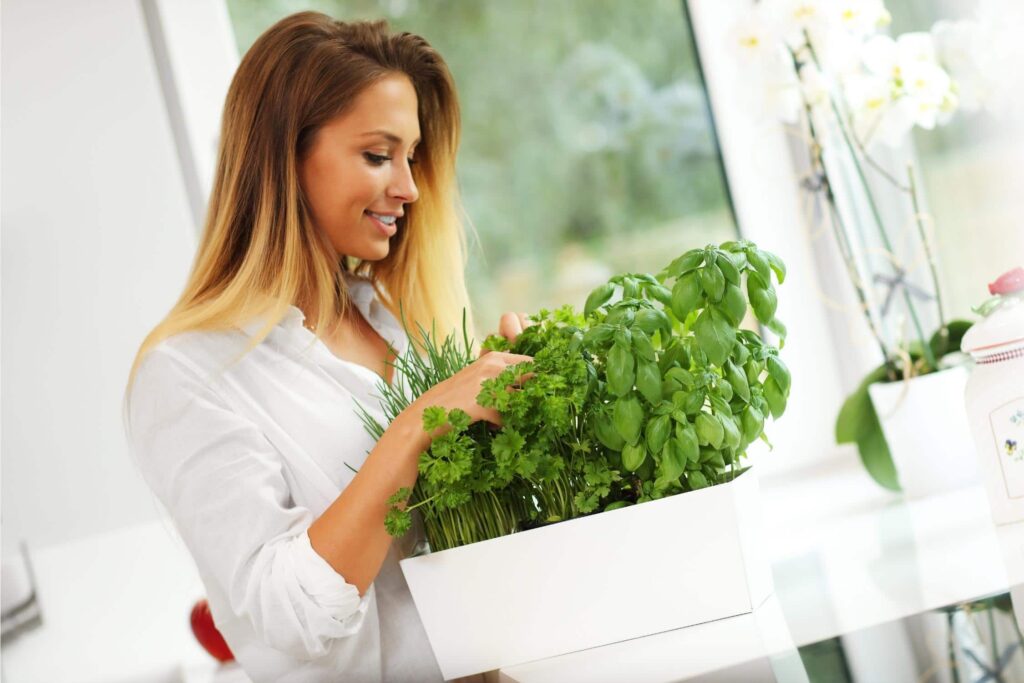 GREEN-CONCEPT-VERMICOMPOST-1.jpg