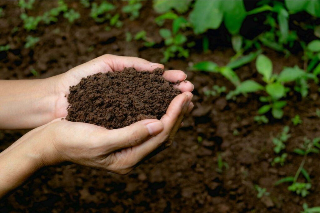 GREEN-CONCEPT-VERMICOMPOST-1-2.jpg