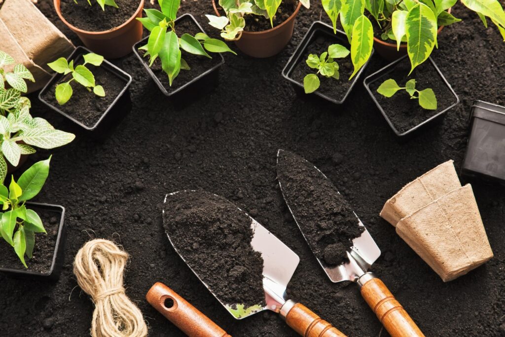 GREEN-CONCEPT-VERMICOMPOST-ORGANIC-FARMING-2250-x-1500-px.jpg