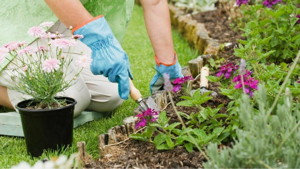 GREEN-CONCEPT-VERMICOMPOST-ORGANIC-FARMING-2250-x-1500-px-1366-x-768-px-1.jpg