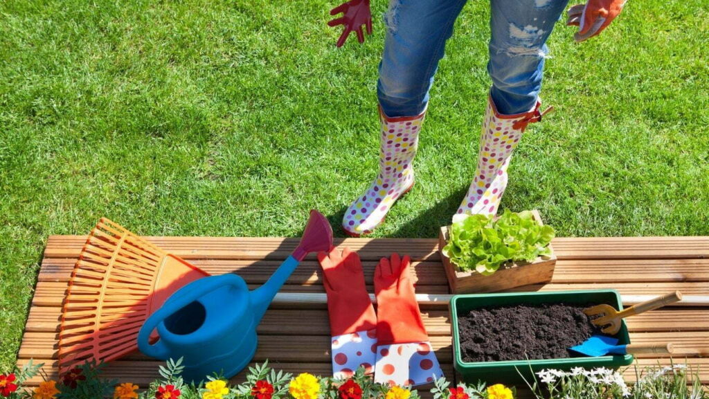 GREEN-CONCEPT-VERMICOMPOST-ORGANIC-FARMING-2250-x-1500-px-1366-x-768-px.jpg